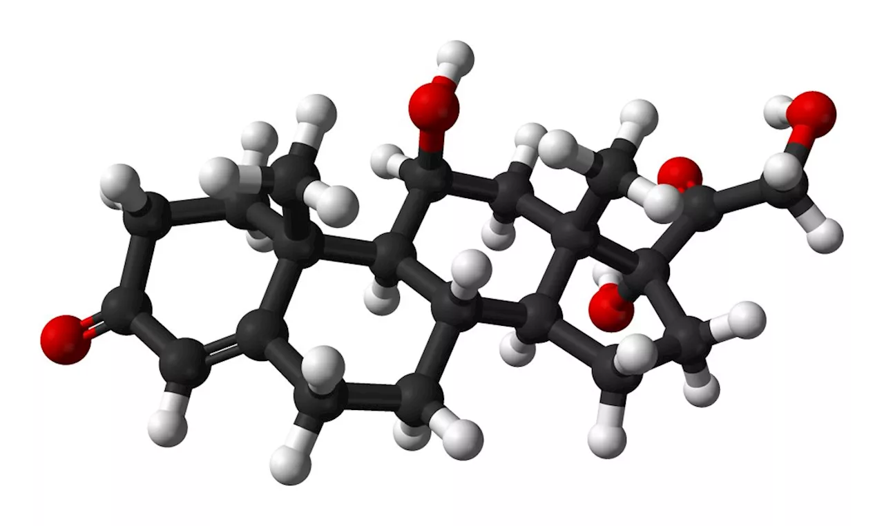 First-of-its kind hormone replacement treatment shows promise in patient trials