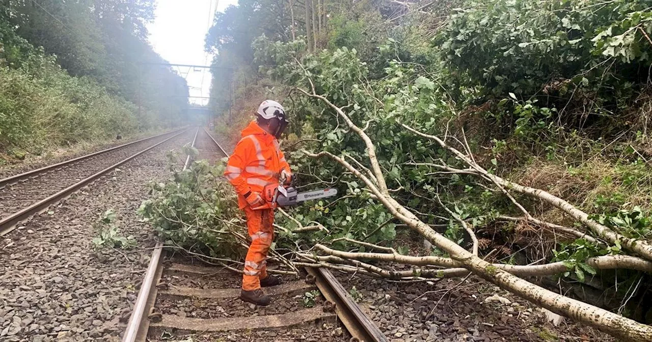 Urgent travel warning issued as Storm Babet brings heavy rain and flooding alert