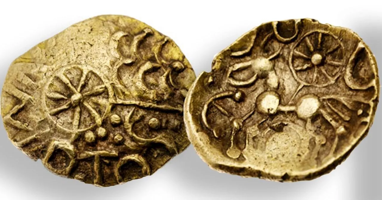 Coin worth £20,000 found in Hampshire field reveals secret British king