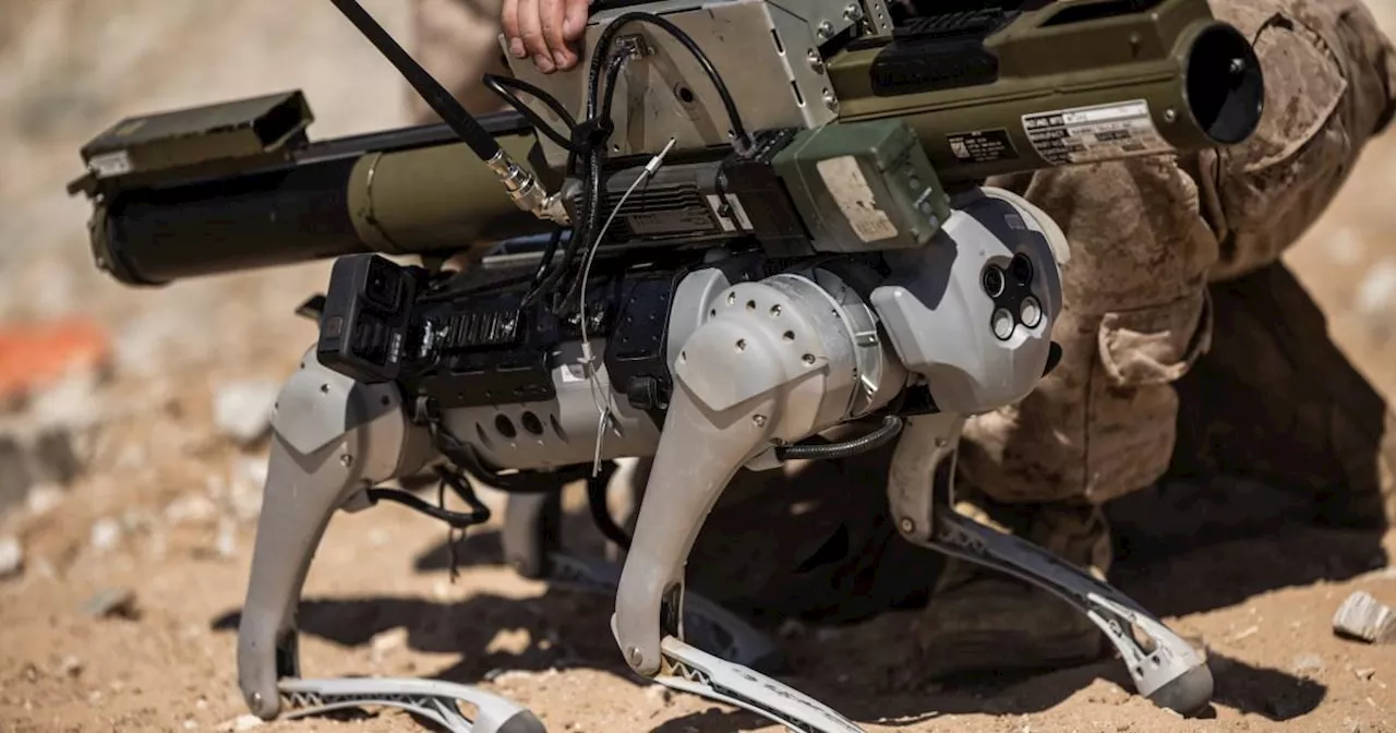 Rocket-firing 'goats' are the US Marine's newest fighting tools