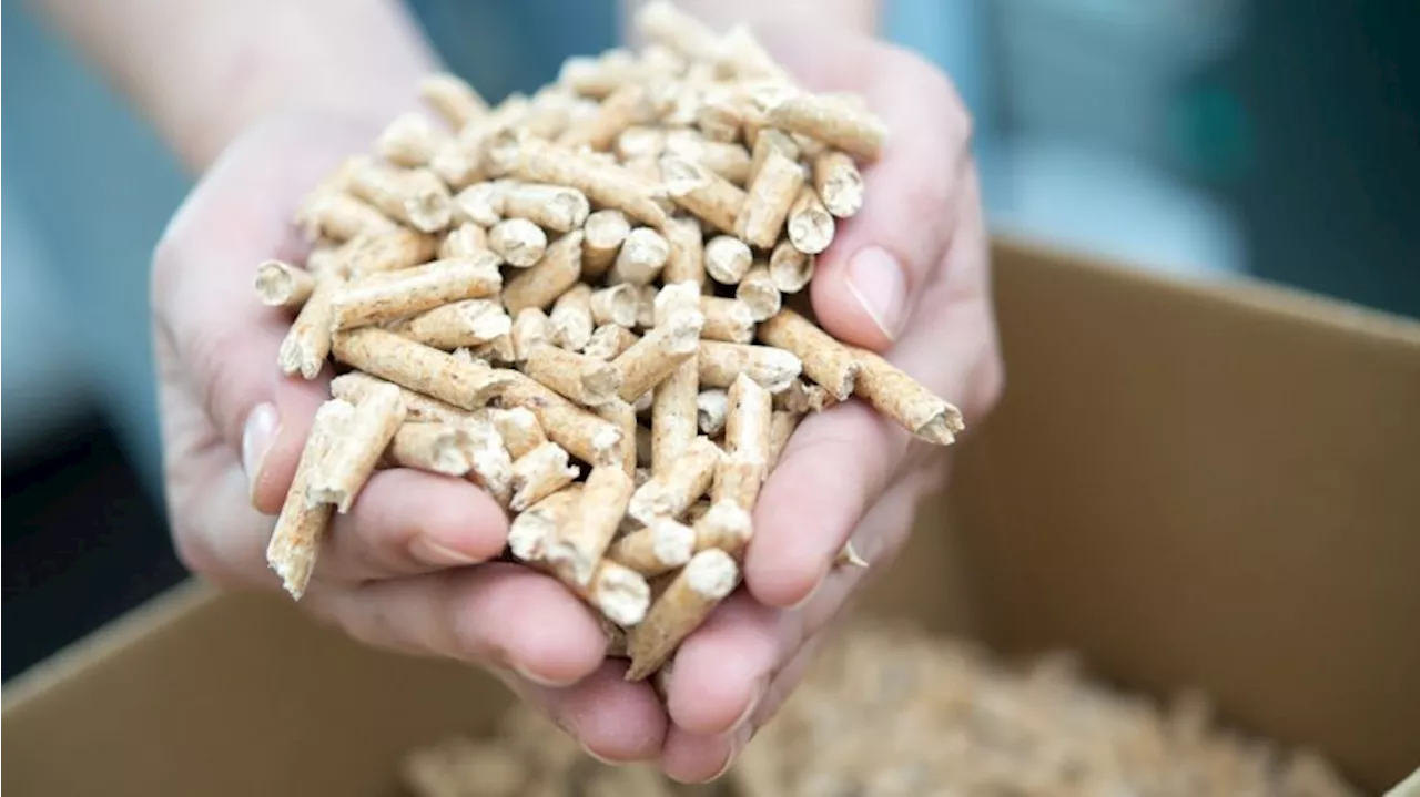 Pellets im Test: Warm wird's, aber woher kommt das Holz?