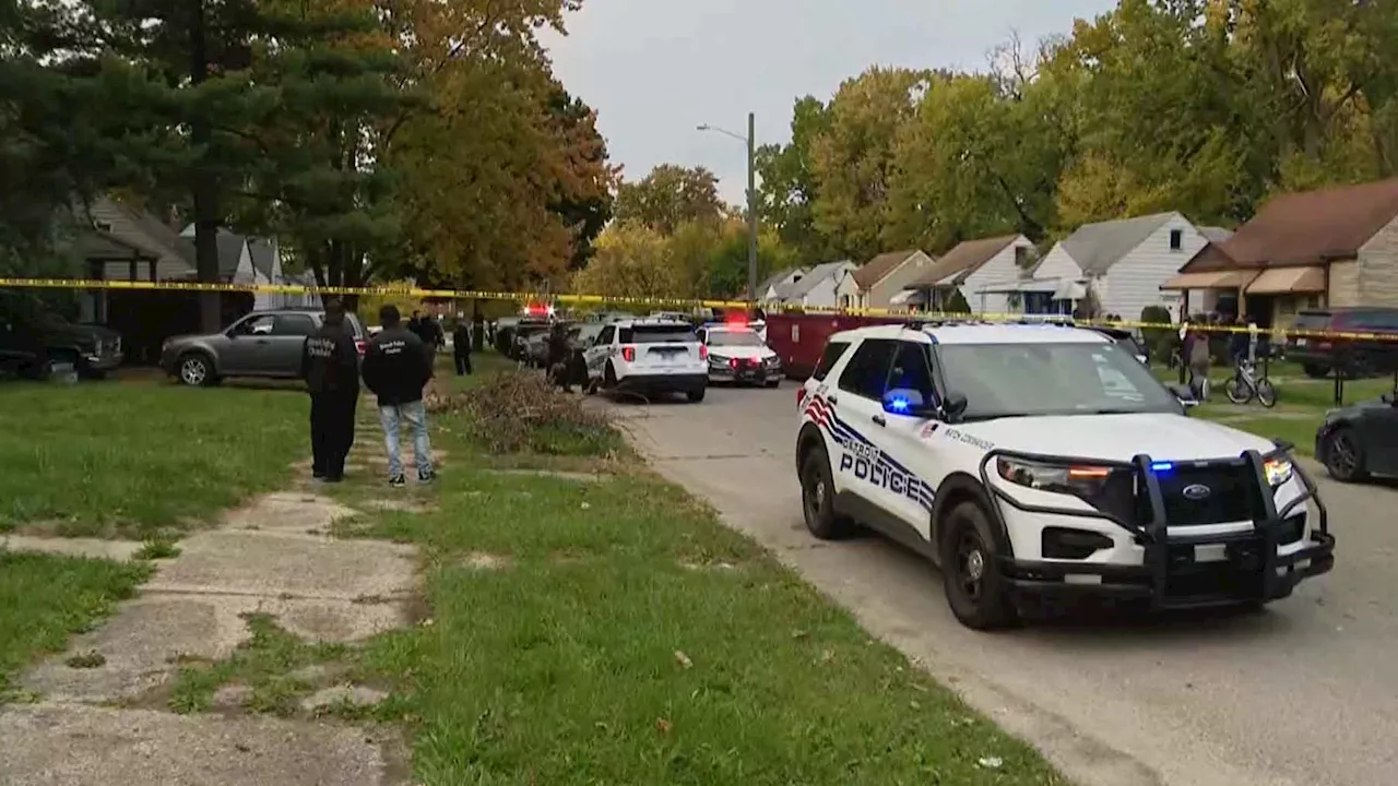 Detroit 4-year-old boy killed in dog attack while playing in backyard