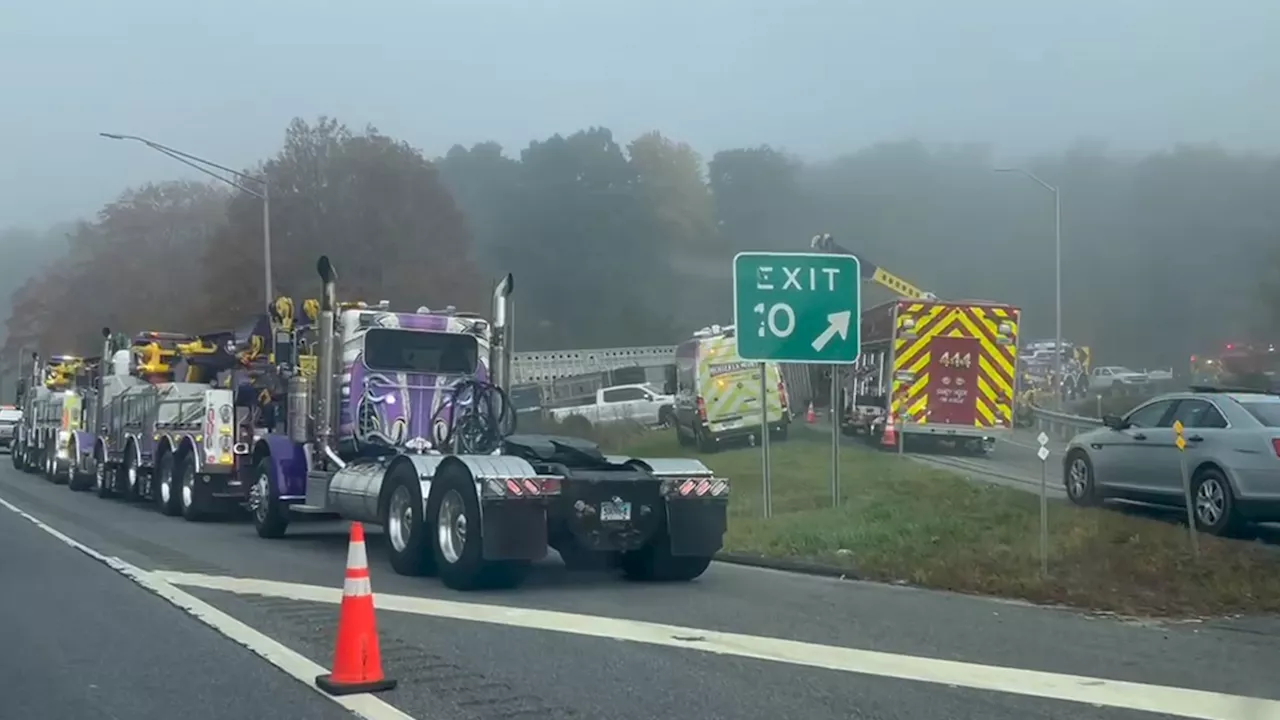 14 cows from Maine dead after truck rolls over on I-84 in Conn.