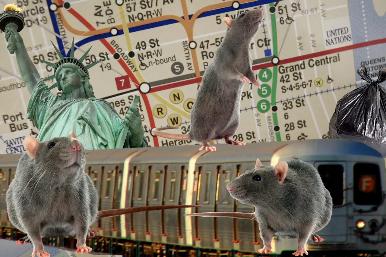 How To Find Out Exactly How Many Rats Are at Each New York Subway Station