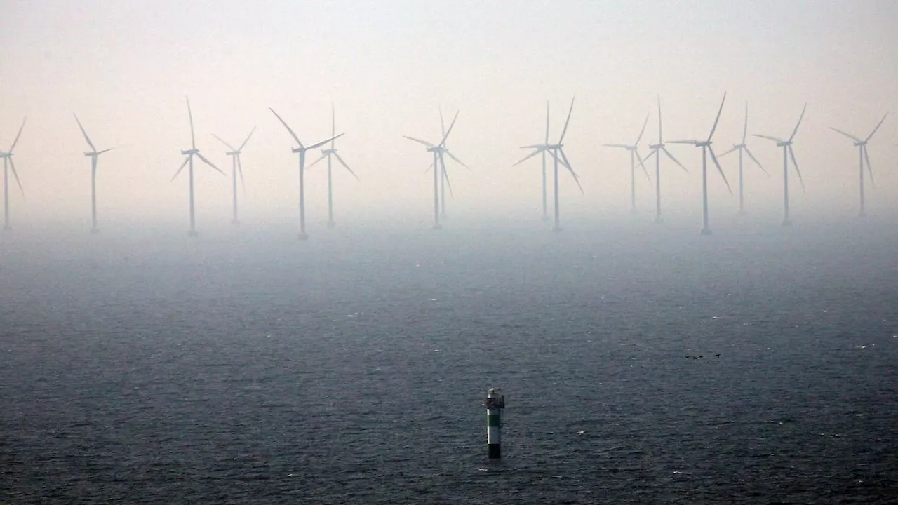 Hamburg & Schleswig-Holstein: Ostsee-Sturmflut bringt Einschränkungen