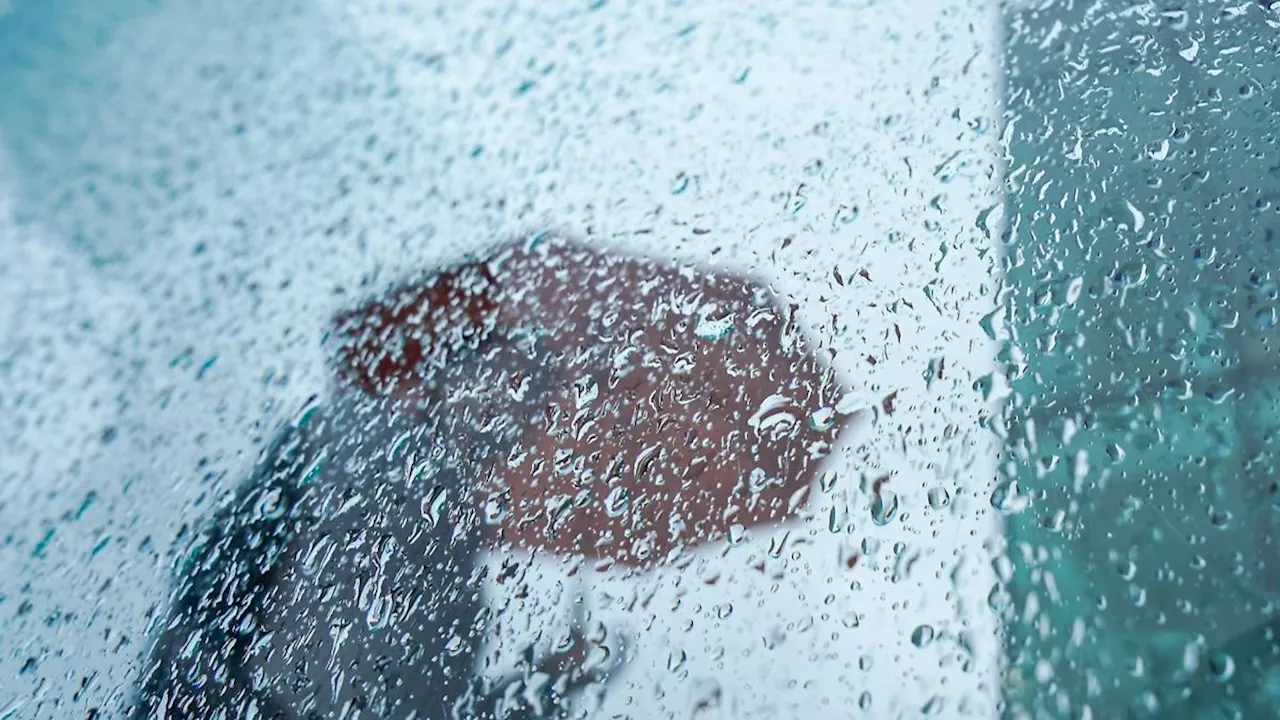 Hamburg & Schleswig-Holstein: Regen und Sturm in Hamburg und Schleswig-Holstein