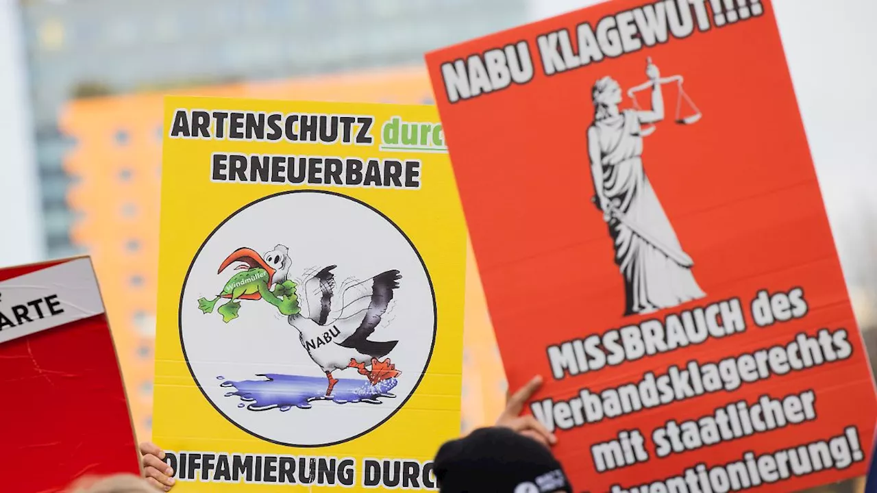 NABU im 'Klima-Labor': Ist ein Seeadler wirklich wichtiger als ein neues Windrad?