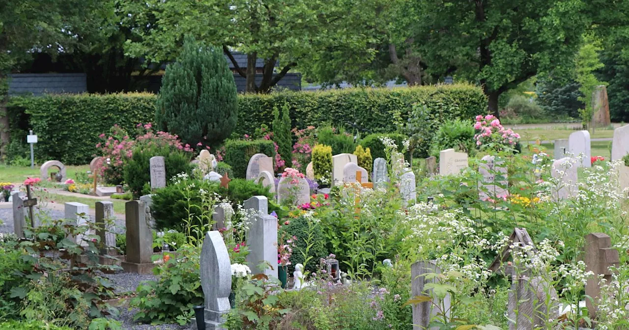 'Gärten der Kinder' auf Paderborner Friedhof: Spendenziel noch nicht erreicht