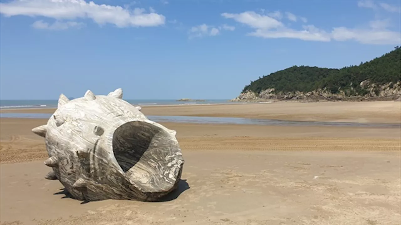 신안 섬마을 해변가에서 피아노 연주회가 열립니다