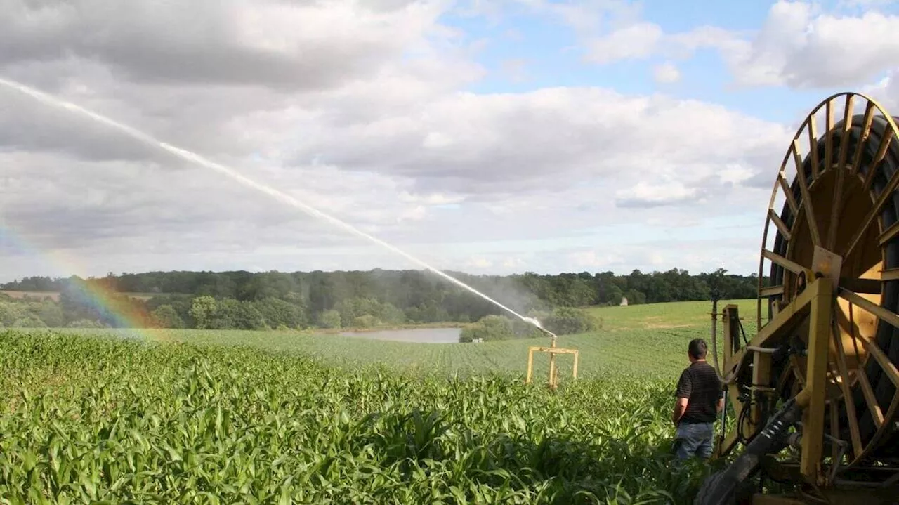 En agriculture, la hausse de la redevance d’eau pour l’irrigation ne passe pas