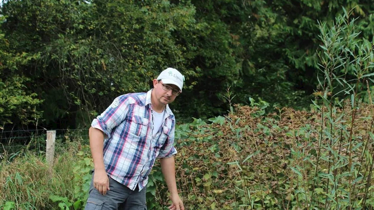 Pépinière de fruitiers dans le Centre Bretagne, la ferme Ti Lipouz pratique l’agroécologie