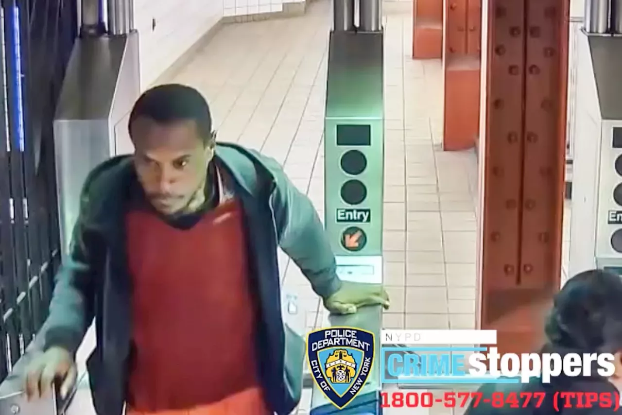 NYPD Searching for Suspect Who Pushed a Woman Into a Moving Subway Train