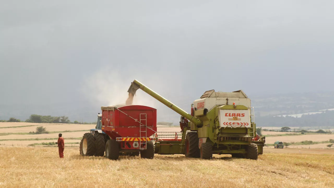 Kenya: pourquoi des agriculteurs déposent une requête devant la justice concernant une loi sur les semences