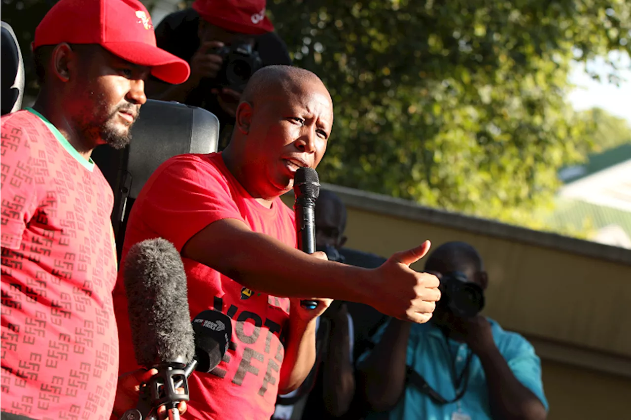 Court dismisses Malema's bid to drop firearm discharge charges - SABC News