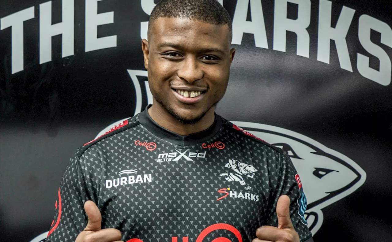 2023-24 URC preview: Sharks