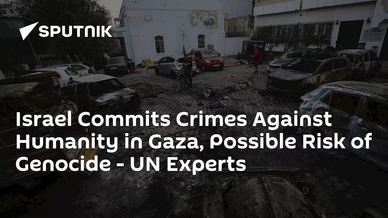 Israel Commits Crimes Against Humanity in Gaza, Possible Risk of Genocide