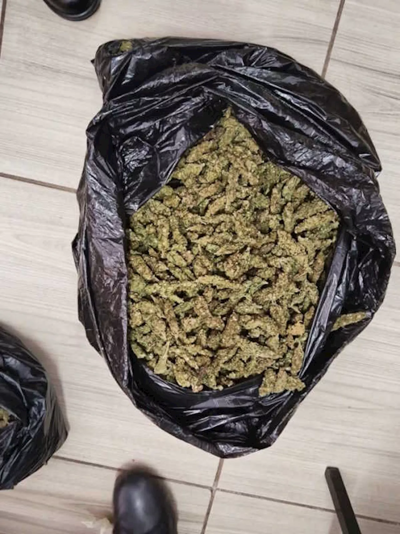 SAPS Sekhukhune District task team pounce on five suspects for dealing in dagga