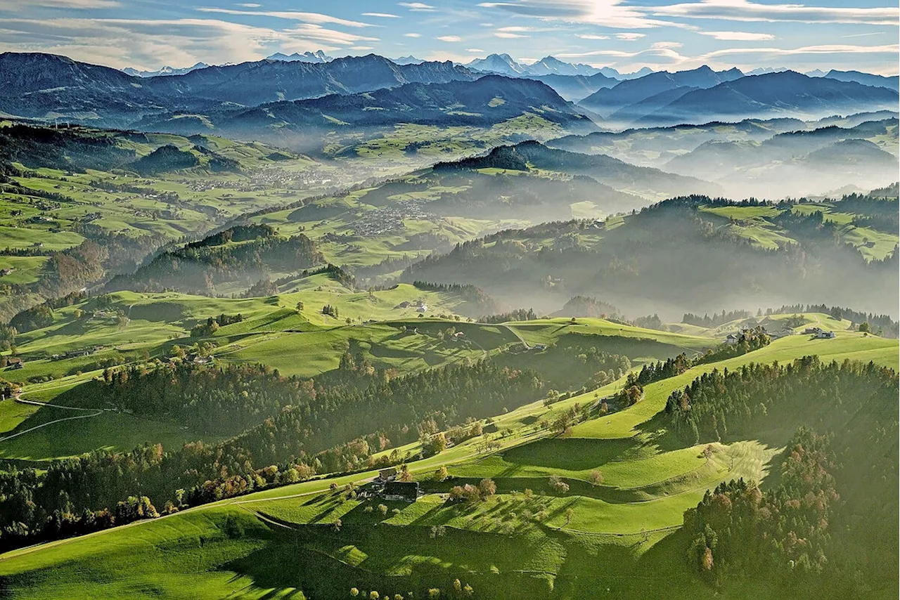 Trägt dieser endlose Sommer Früchte?