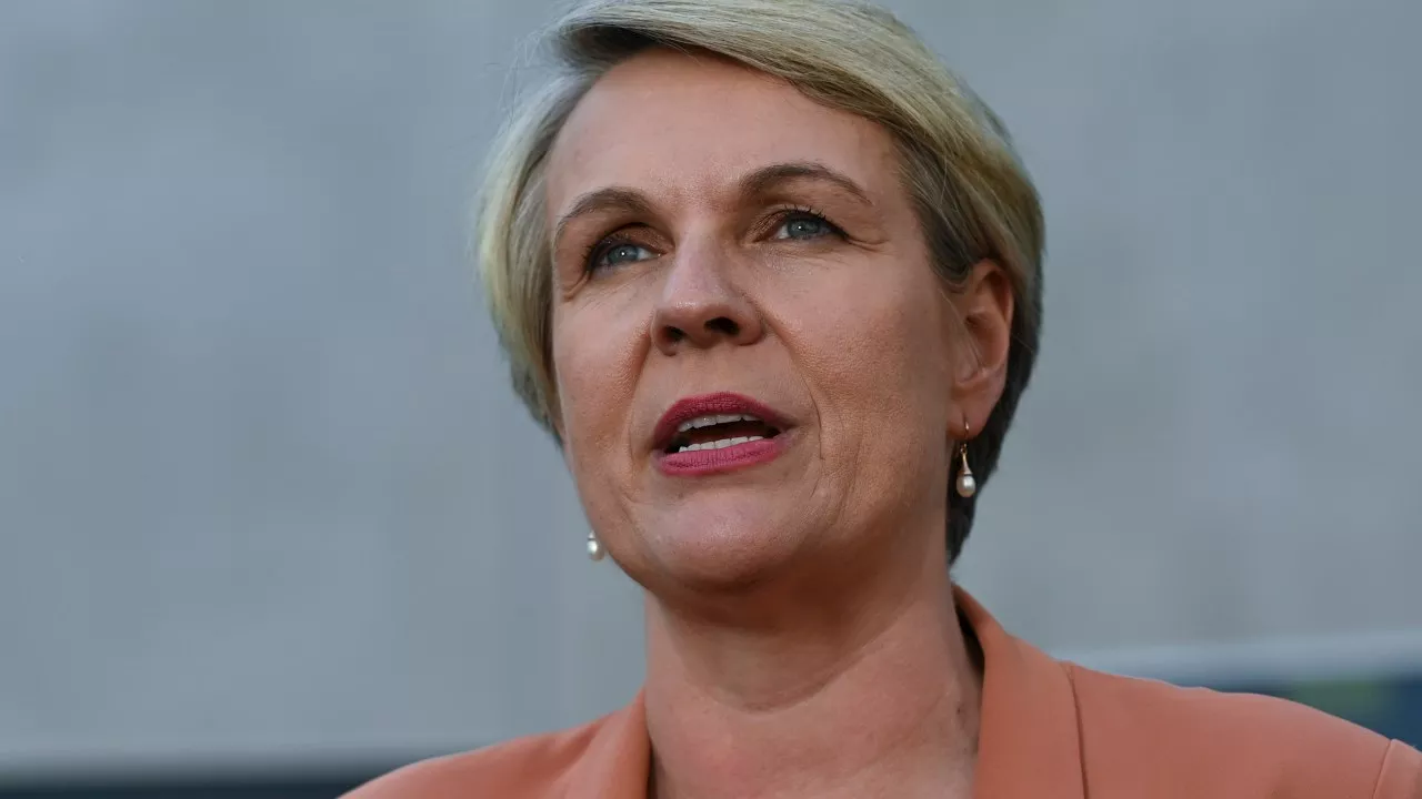 Plibersek’s message to Australians amid increasing ethnic tensions