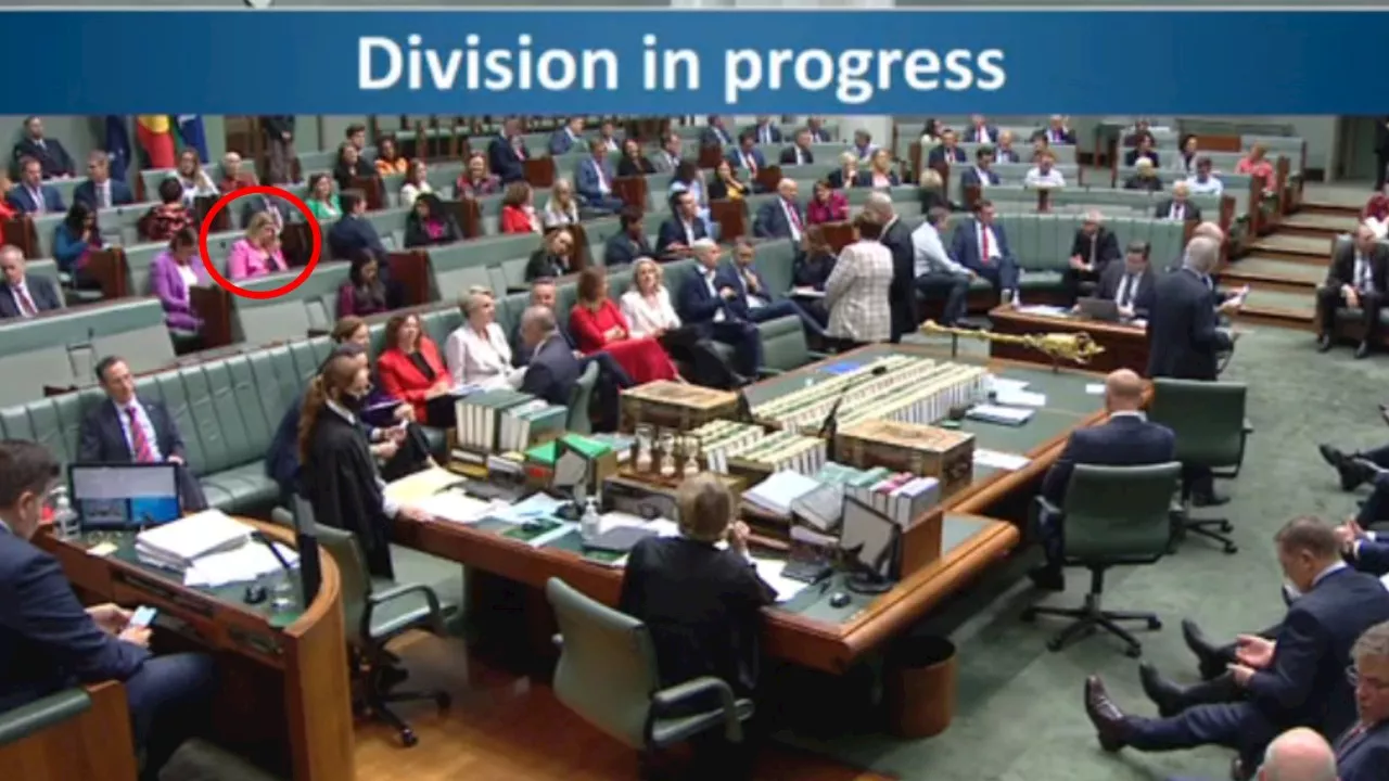 ‘The wrong decision’: Dutton slams Archer after voting with Labor
