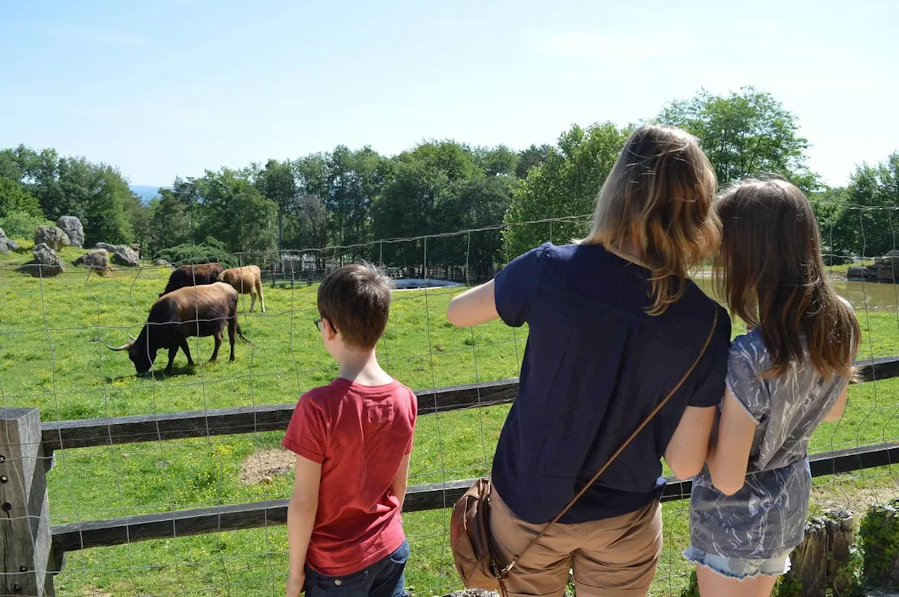 Vacances de la Toussaint : que faire en Dordogne avec des enfants et des ados