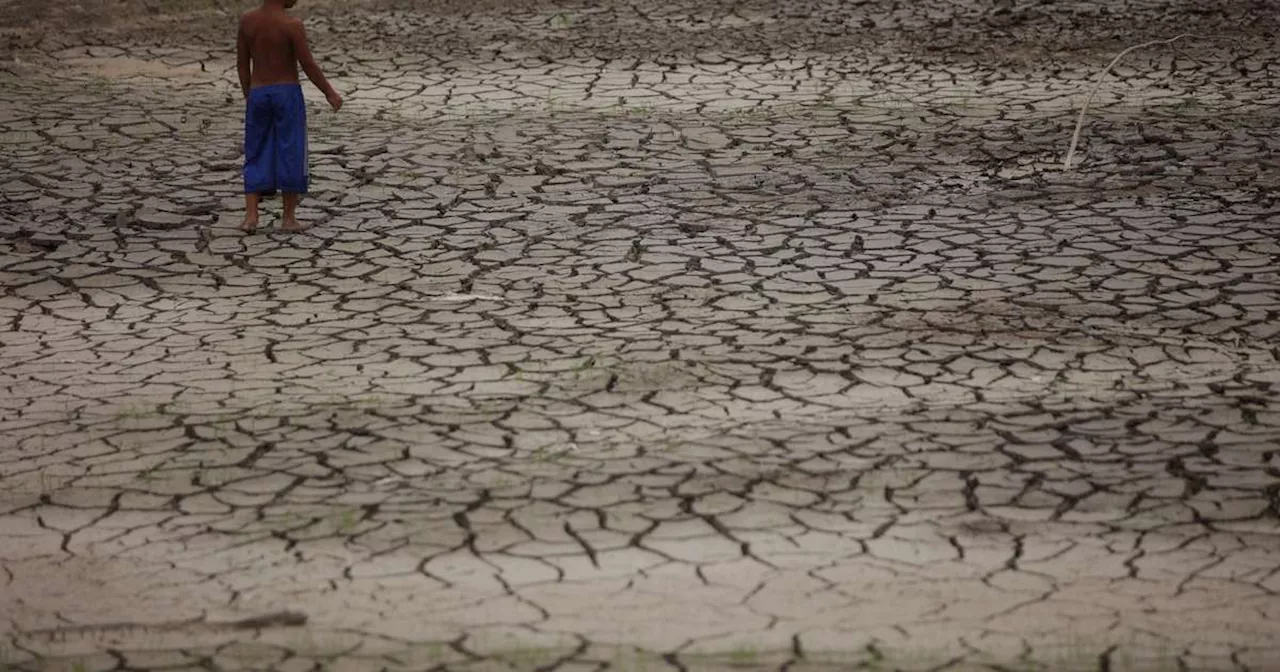 Rios da Amazônia atingem novo recorde de seca e menor nível em mais de 120 anos