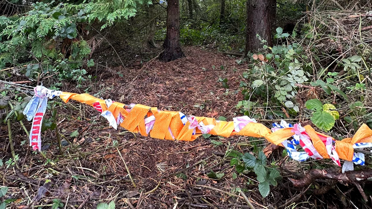 Cops cordon off road for 31 hours to investigate ‘female corpse’ — only to find it’s a sex doll...