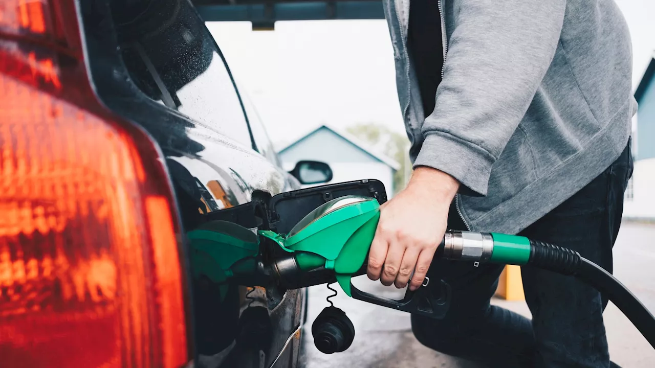 Ministers must urgently bring in regulator to stop drivers being ‘fleeced’ at the pumps, campaigners say...