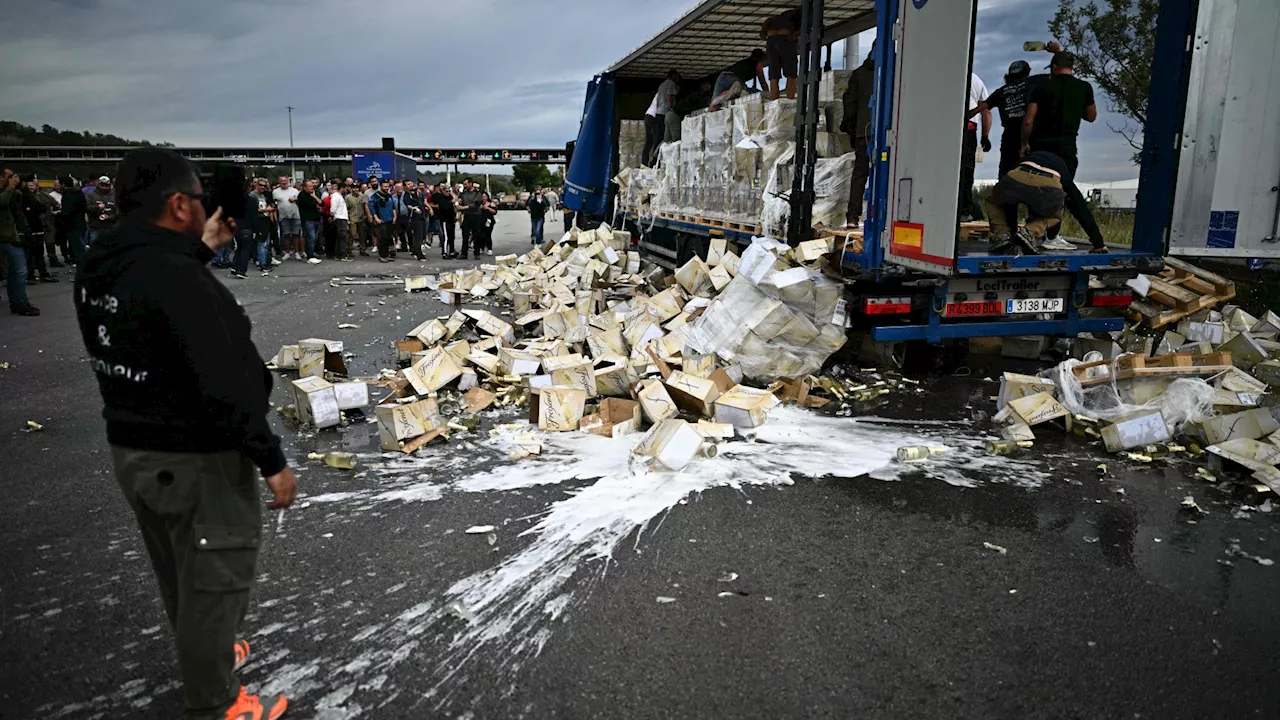 Moment French winemakers pour GALLONS of Spanish red over road & destroy crates of booze in protest over...