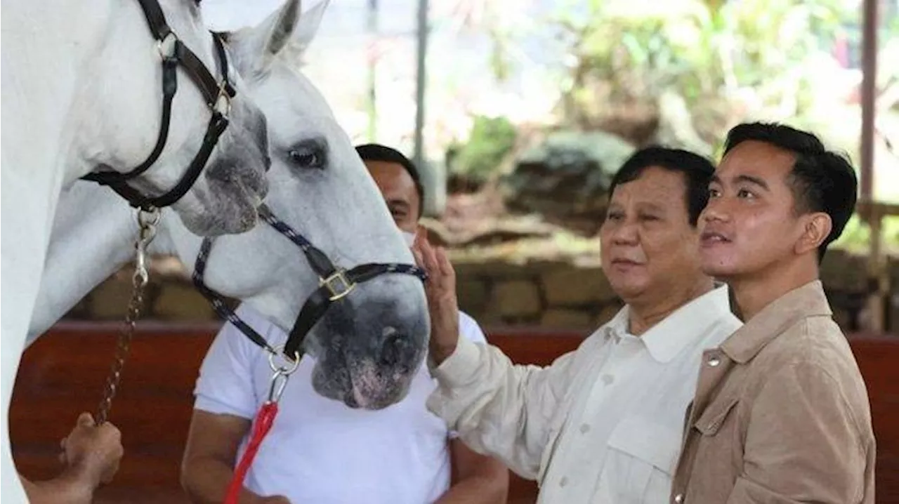 Jika Gibran Jadi Cawapres Prabowo, Aria Bima: Otomatis Keluar dari PDIP