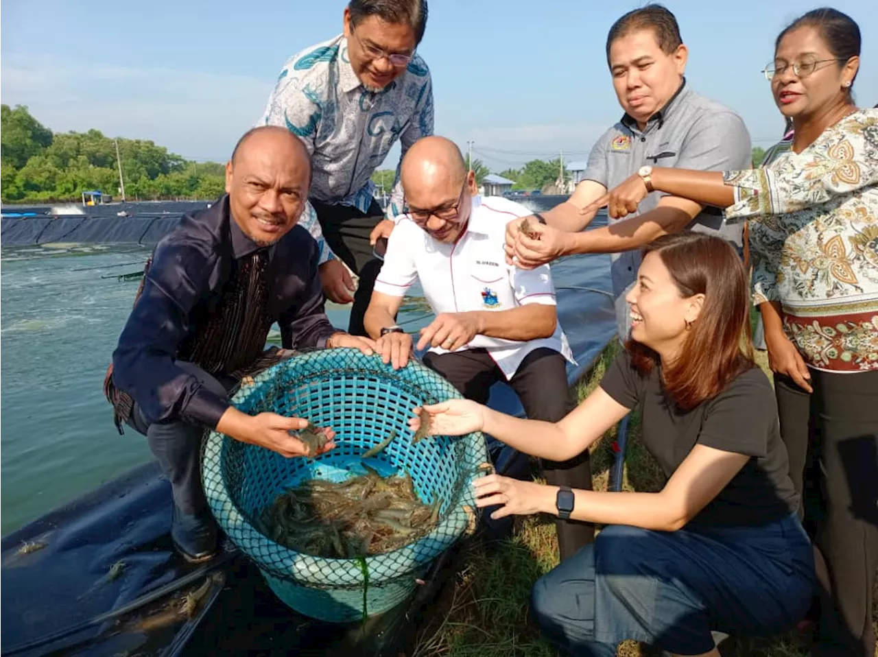 Melaka mohon dana RM2 juta tambah kolam udang