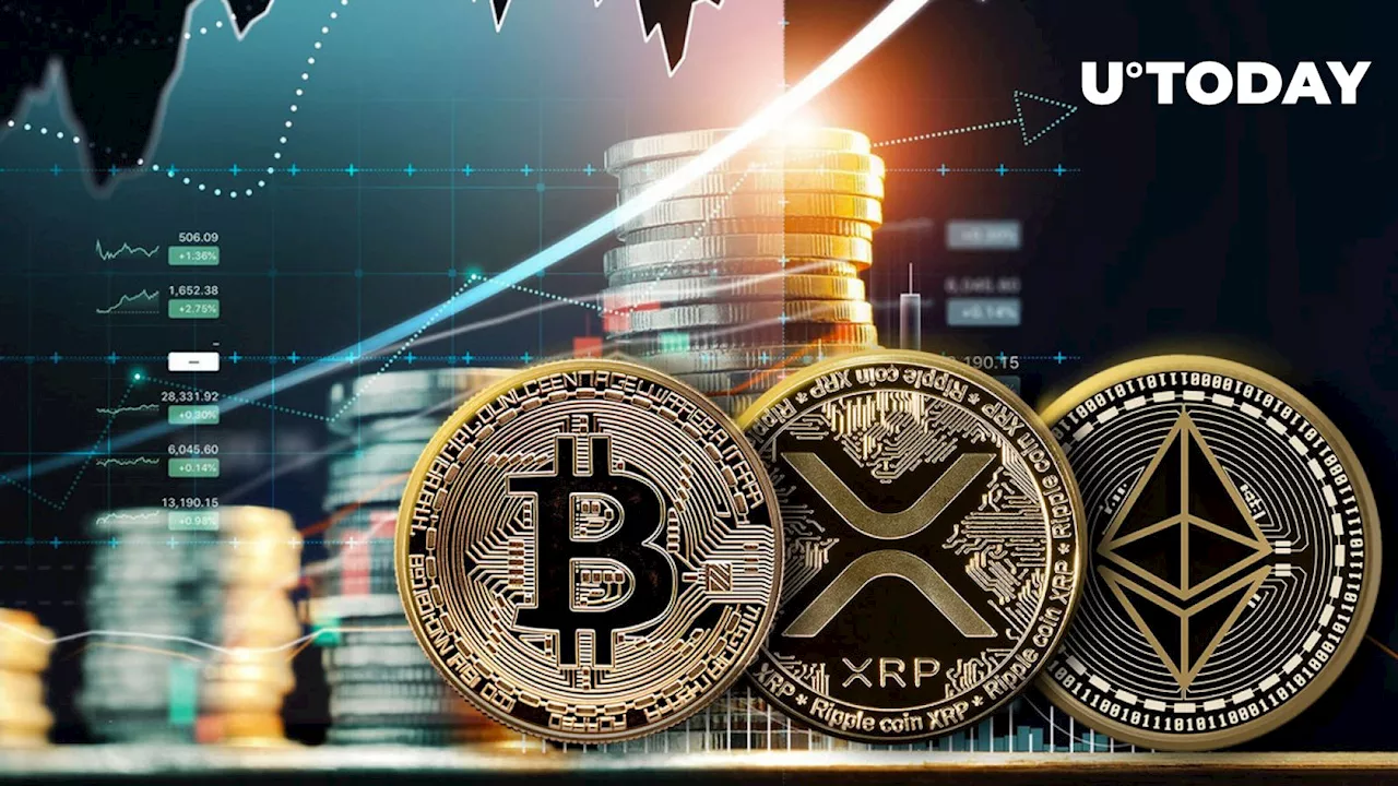 XRP, Bitcoin, ETH Take Center Stage in Whopping $800 Million Crypto Transfers