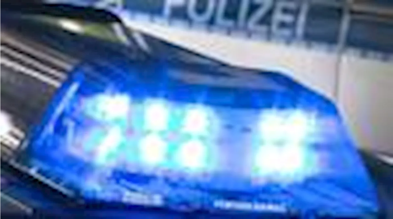 Polizei Delmenhorst sucht Zeugen: Kollision mit parkendem Auto