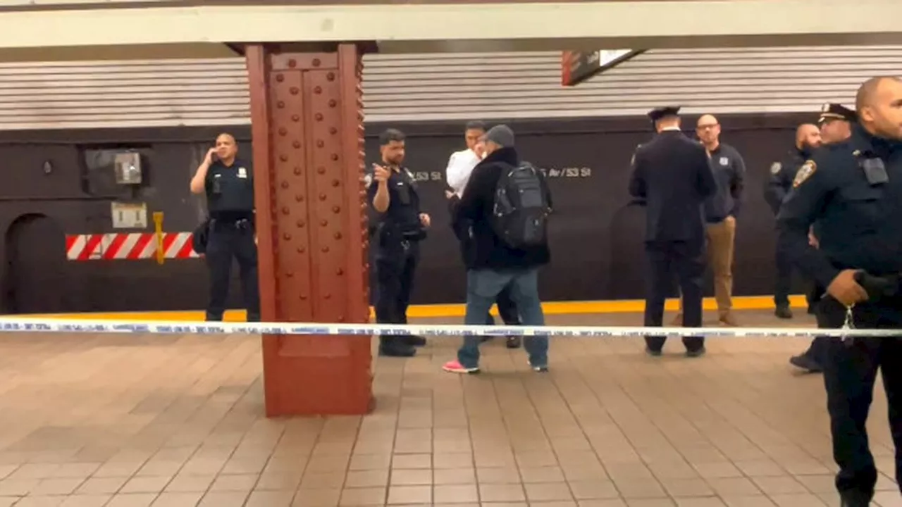 Woman in critical condition after shoved into moving NYC subway train, suspect sought: Police