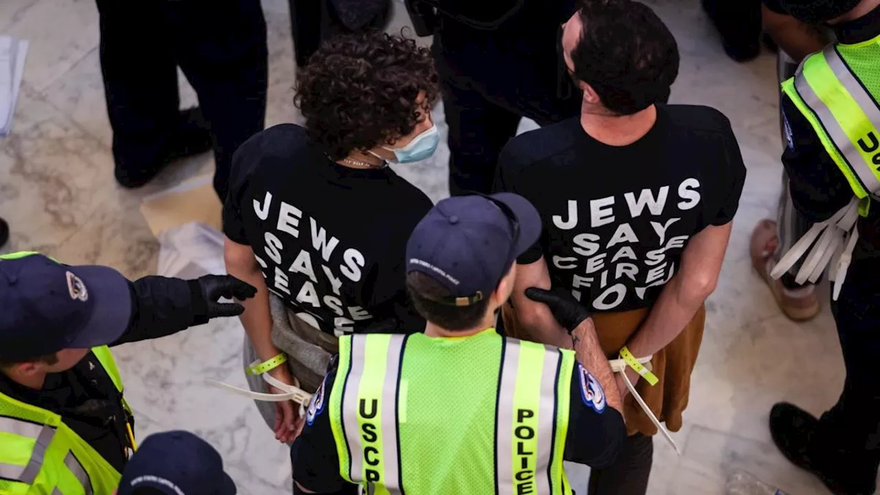 Israel-Hamas War: Demonstrators Arrested at U.S. Capitol Peace Rally