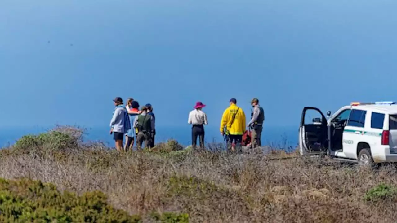 Crews search for possible shark attack victim at beach in Northern California