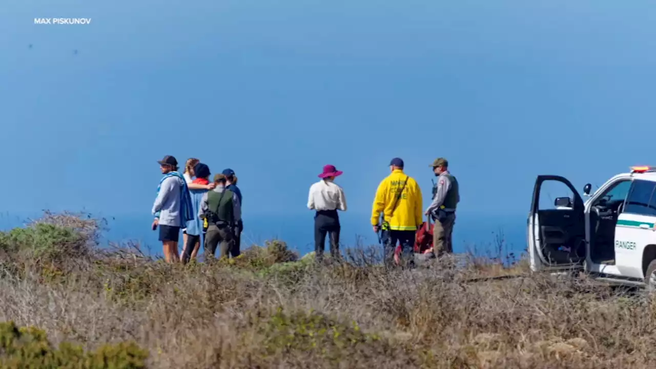 Coast Guard suspends search for swimmer missing after possible Point Reyes shark attack: officials