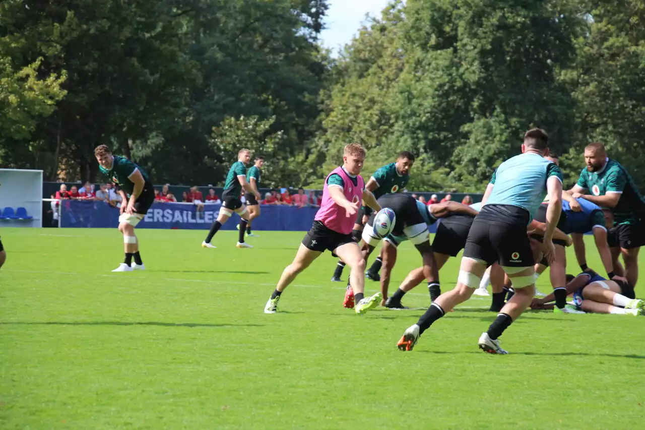 Coupe du monde de rugby : l'entraînement du Pays de Galles séduit le public de Versailles