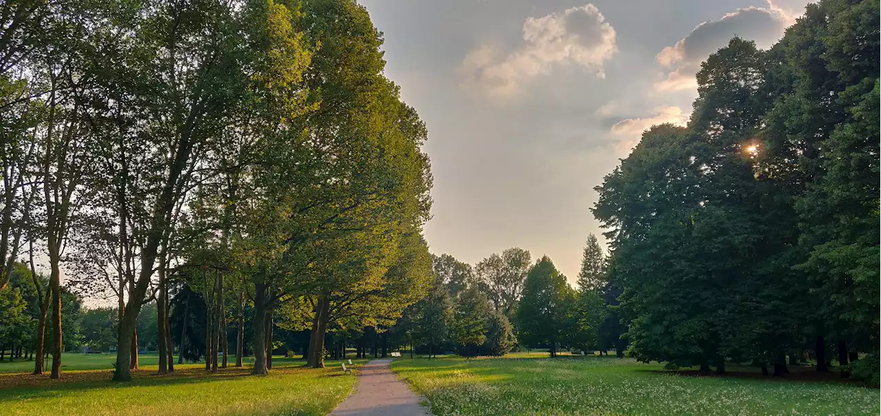 Gruppo Prada supporterà ripristino di Parco Nord Milano