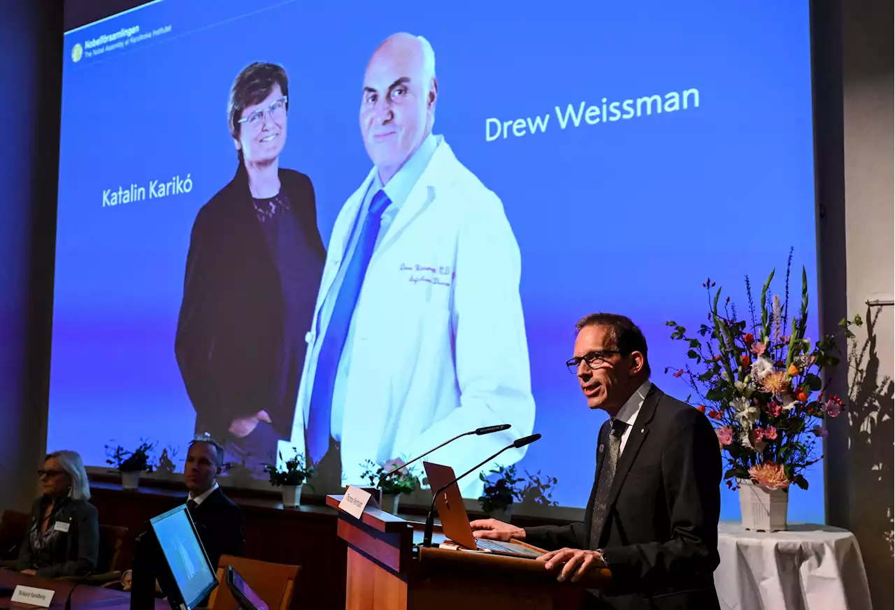 Nobel Medicina 2023 Karikó e Weissman per vaccino Covid