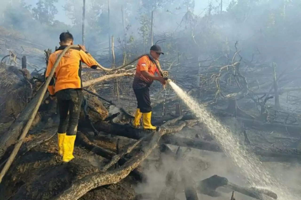 BMKG deteksi 199 titik panas di Kaltim