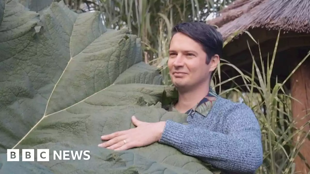 'Welcome to my exotic Yorkshire garden'