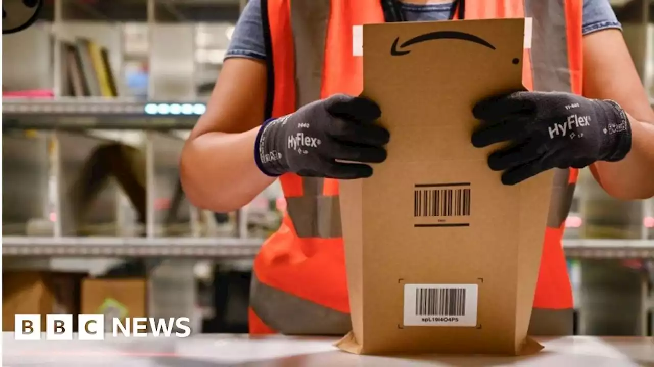 Amazon: US accuses online giant of illegal monopoly