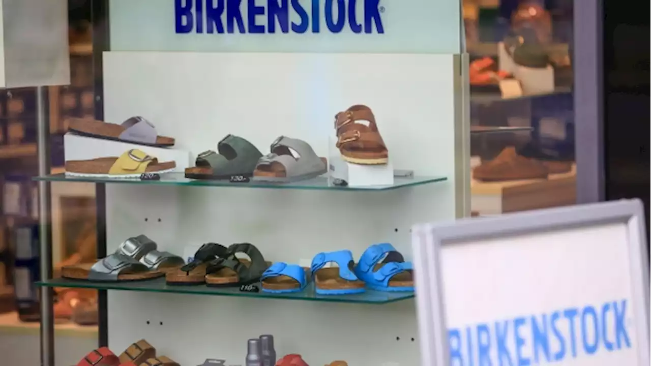 Birkenstock Attracts Norwegian Wealth Fund to $1.6 Billion IPO