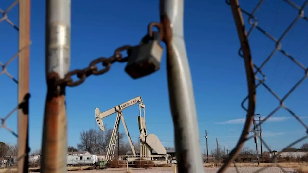 Drag on Oil Demand in China and US Is Limiting Rally, Citigroup’s Morse Says