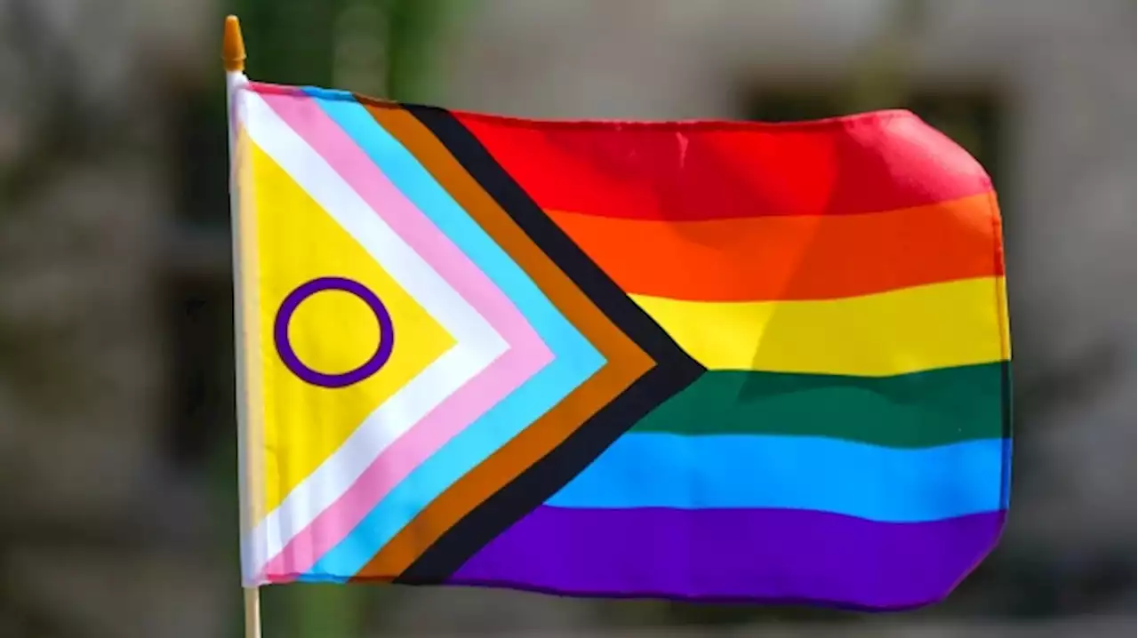 Youths charged with hate-related offences after Pride flag damaged in Kitchener, Ont