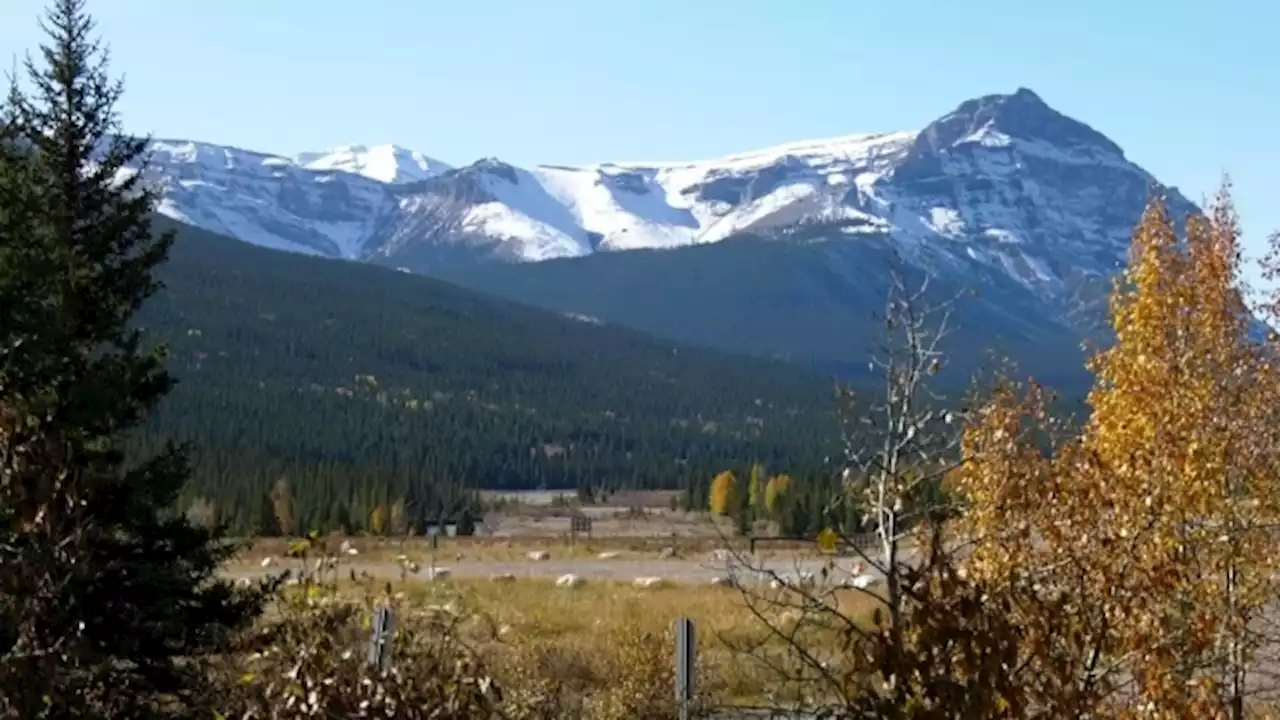 Couple and dog killed by bear at Banff National Park