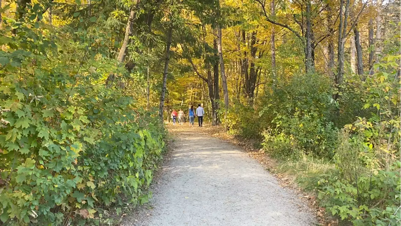 A midsummer Monday in early autumn in Ottawa