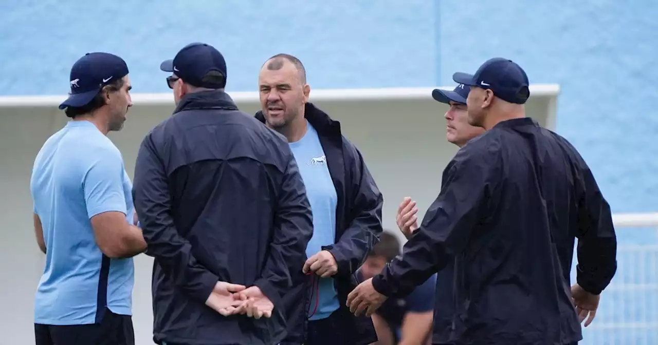 Los Pumas: ¿qué cambios podría haber para jugar con Japón?