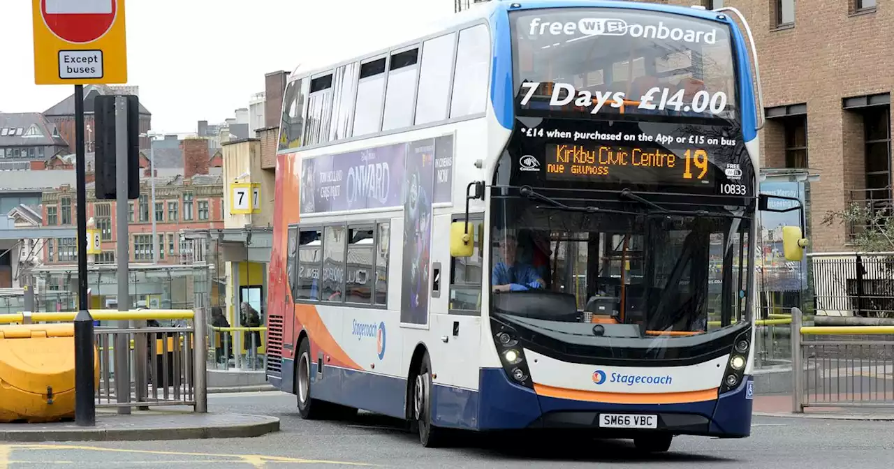 Campaigners, councils and operators split on major bus shake-up